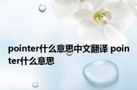 pointer什么意思中文翻译 pointer什么意思 