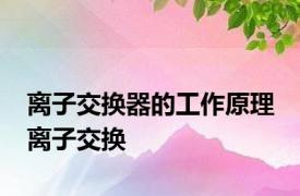 离子交换器的工作原理 离子交换 