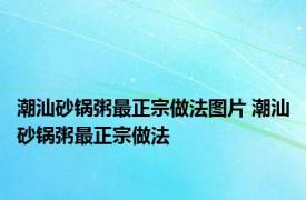 潮汕砂锅粥最正宗做法图片 潮汕砂锅粥最正宗做法 