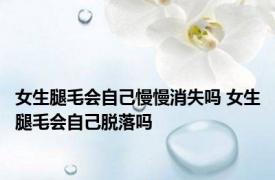 女生腿毛会自己慢慢消失吗 女生腿毛会自己脱落吗 