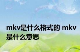 mkv是什么格式的 mkv是什么意思 