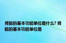 肾脏的基本功能单位是什么? 肾脏的基本功能单位是 