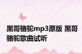 黑哥骆驼mp3原版 黑哥骆驼歌曲试听 