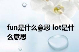 fun是什么意思 lot是什么意思 