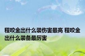 程咬金出什么装伤害最高 程咬金出什么装备最厉害 