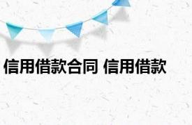 信用借款合同 信用借款 