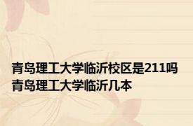 青岛理工大学临沂校区是211吗 青岛理工大学临沂几本 