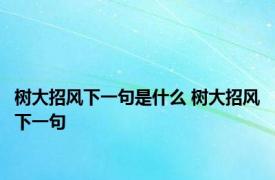 树大招风下一句是什么 树大招风下一句 