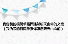 我伪装的很简单强悍强然听天由命的文案（我伪装的很简单强悍强然听天由命的）