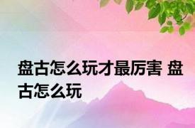 盘古怎么玩才最厉害 盘古怎么玩 