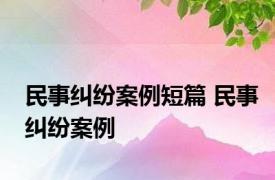 民事纠纷案例短篇 民事纠纷案例 