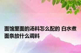 面馆里面的汤料怎么配的 白水煮面条放什么调料 