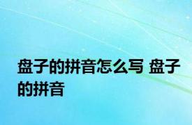 盘子的拼音怎么写 盘子的拼音 