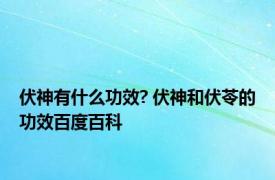 伏神有什么功效? 伏神和伏苓的功效百度百科 