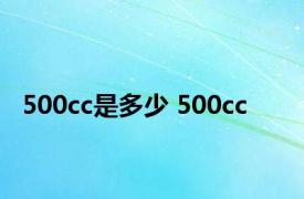 500cc是多少 500cc 