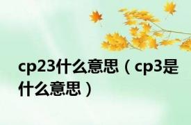 cp23什么意思（cp3是什么意思）