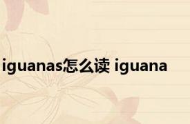 iguanas怎么读 iguana 