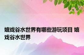 嬉戏谷水世界有哪些游玩项目 嬉戏谷水世界 