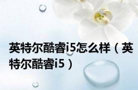 英特尔酷睿i5怎么样（英特尔酷睿i5）