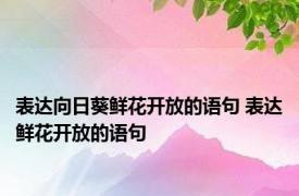 表达向日葵鲜花开放的语句 表达鲜花开放的语句 