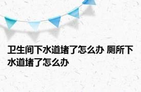 卫生间下水道堵了怎么办 厕所下水道堵了怎么办 