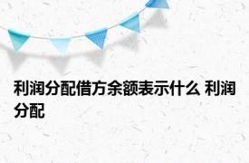 利润分配借方余额表示什么 利润分配 