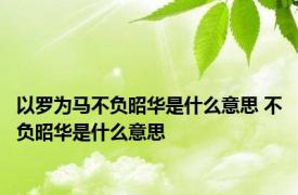 以罗为马不负昭华是什么意思 不负昭华是什么意思 