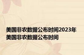 美国非农数据公布时间2023年 美国非农数据公布时间 