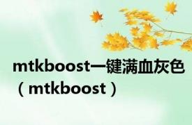 mtkboost一键满血灰色（mtkboost）