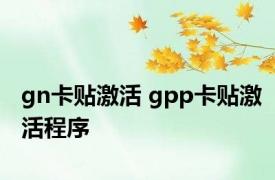 gn卡贴激活 gpp卡贴激活程序 