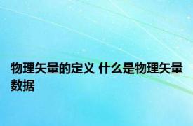 物理矢量的定义 什么是物理矢量数据 