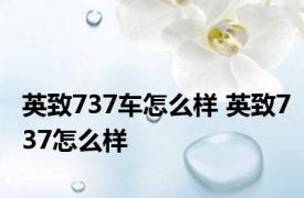 英致737车怎么样 英致737怎么样 