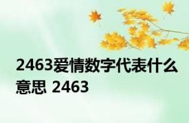 2463爱情数字代表什么意思 2463 