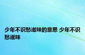 少年不识愁滋味的意思 少年不识愁滋味 