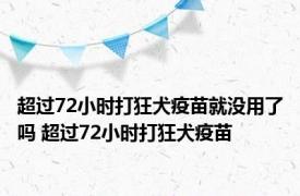 超过72小时打狂犬疫苗就没用了吗 超过72小时打狂犬疫苗 