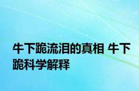 牛下跪流泪的真相 牛下跪科学解释 