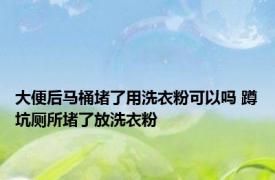 大便后马桶堵了用洗衣粉可以吗 蹲坑厕所堵了放洗衣粉 