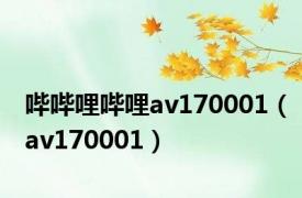 哔哔哩哔哩av170001（av170001）