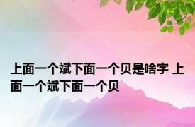 上面一个斌下面一个贝是啥字 上面一个斌下面一个贝 