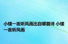 小楼一夜听风雨出自哪首诗 小楼一夜听风雨 