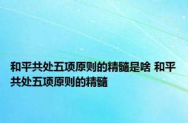 和平共处五项原则的精髓是啥 和平共处五项原则的精髓 