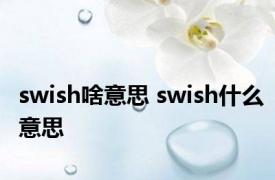 swish啥意思 swish什么意思 