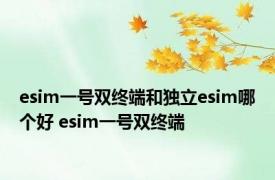 esim一号双终端和独立esim哪个好 esim一号双终端 