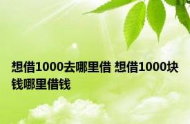 想借1000去哪里借 想借1000块钱哪里借钱 