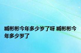 臧彬彬今年多少岁了呀 臧彬彬今年多少岁了 