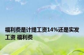 福利费是计提工资14%还是实发工资 福利费 