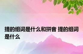 提的组词是什么和拼音 提的组词是什么 