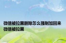 微信被拉黑删除怎么强制加回来 微信被拉黑 