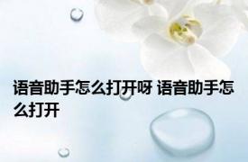 语音助手怎么打开呀 语音助手怎么打开 