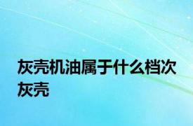 灰壳机油属于什么档次 灰壳 